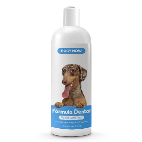 Fórmula Dental | DogyNow