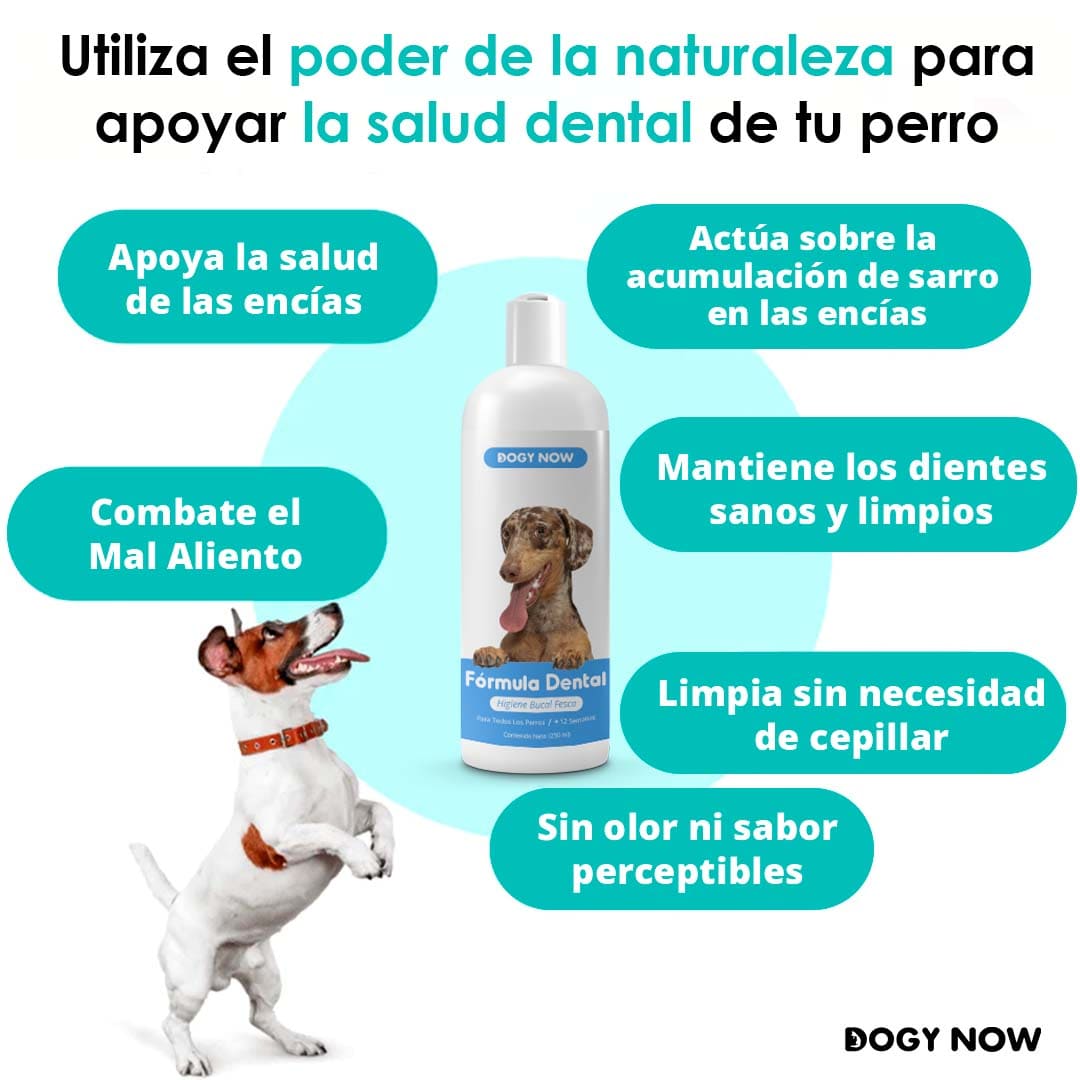 Fórmula Dental | DogyNow