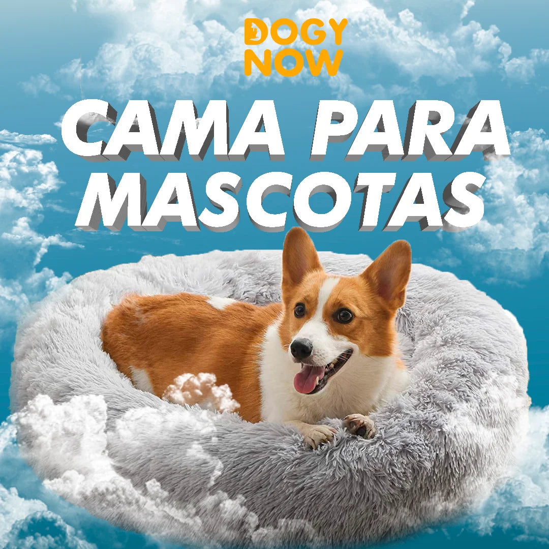 2 Camas Para mascotas